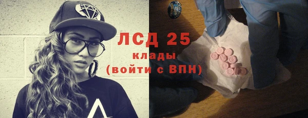 стаф Алексин