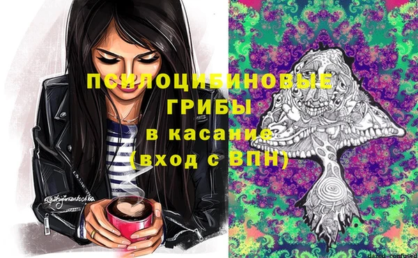 спайс Алексеевка