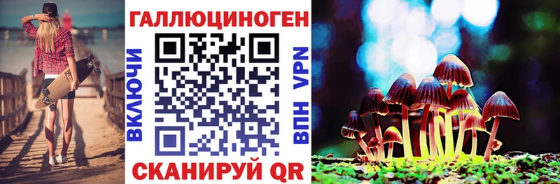 Галлюциногенные грибы Psilocybe  Нижнеудинск 